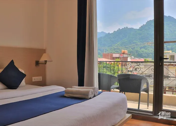 The Blue Jay Hostel - Dorms & Rooms